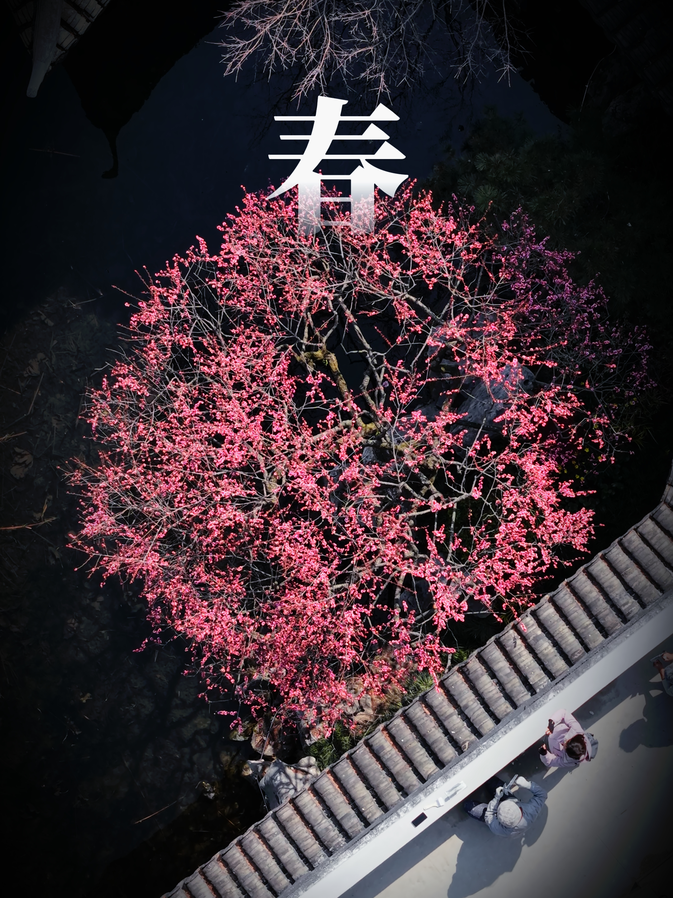 四季 1